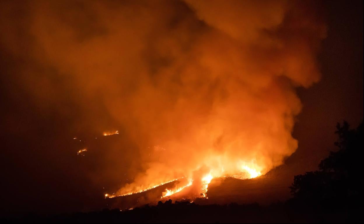 Uno de los incendios activos en Castilla y León. 