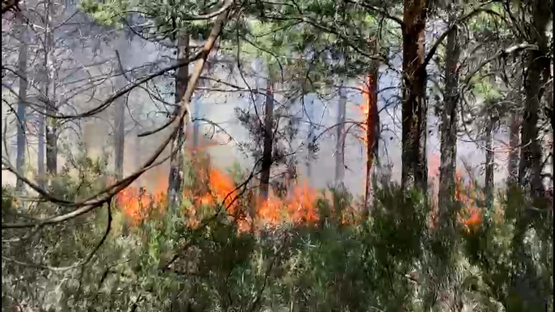 Evacúan a los vecinos de San Adrián de Valdueza ante el peligro por el incendio, declarado nivel 2