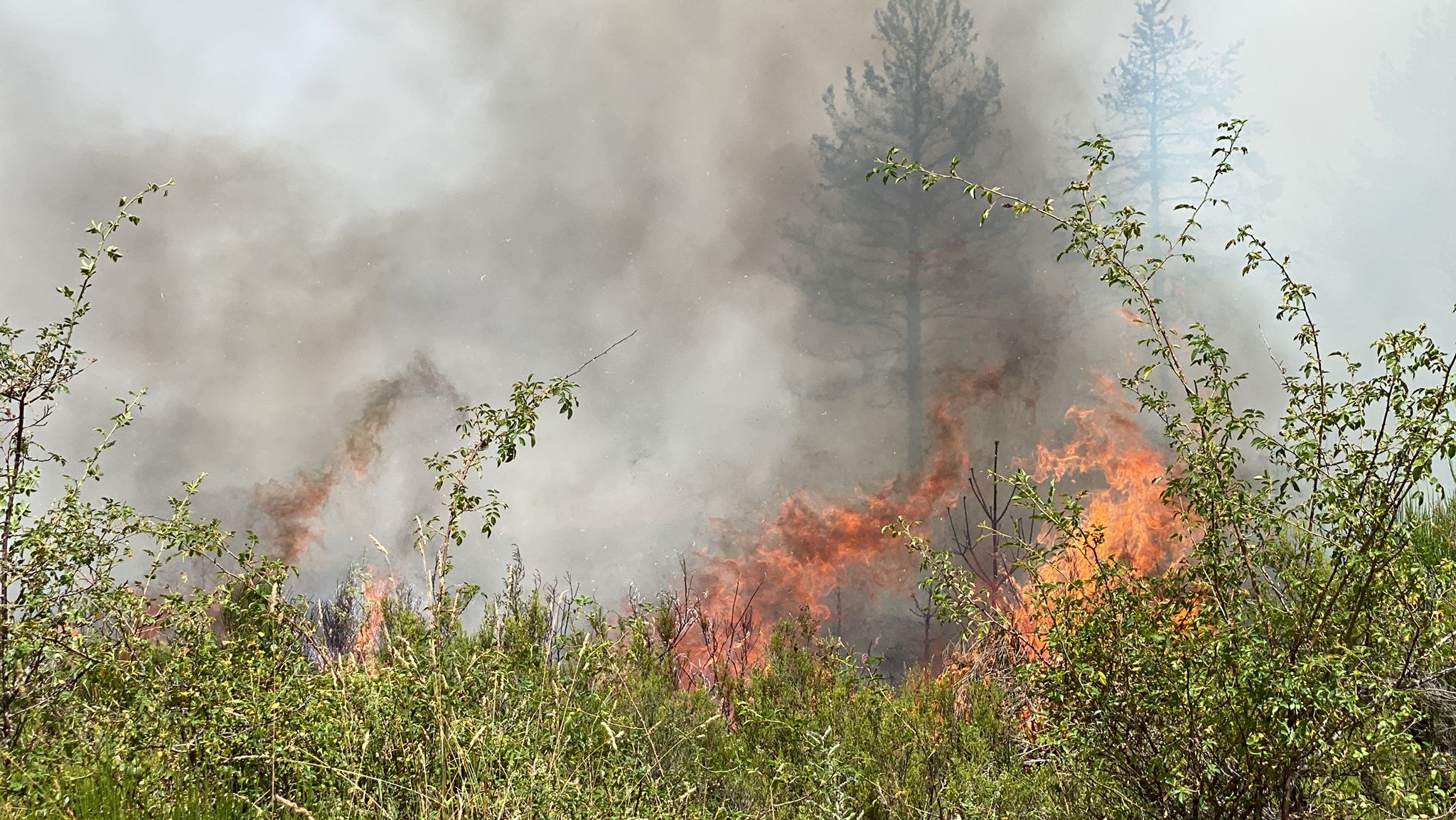 Fotos: Incendio forestal en Montes