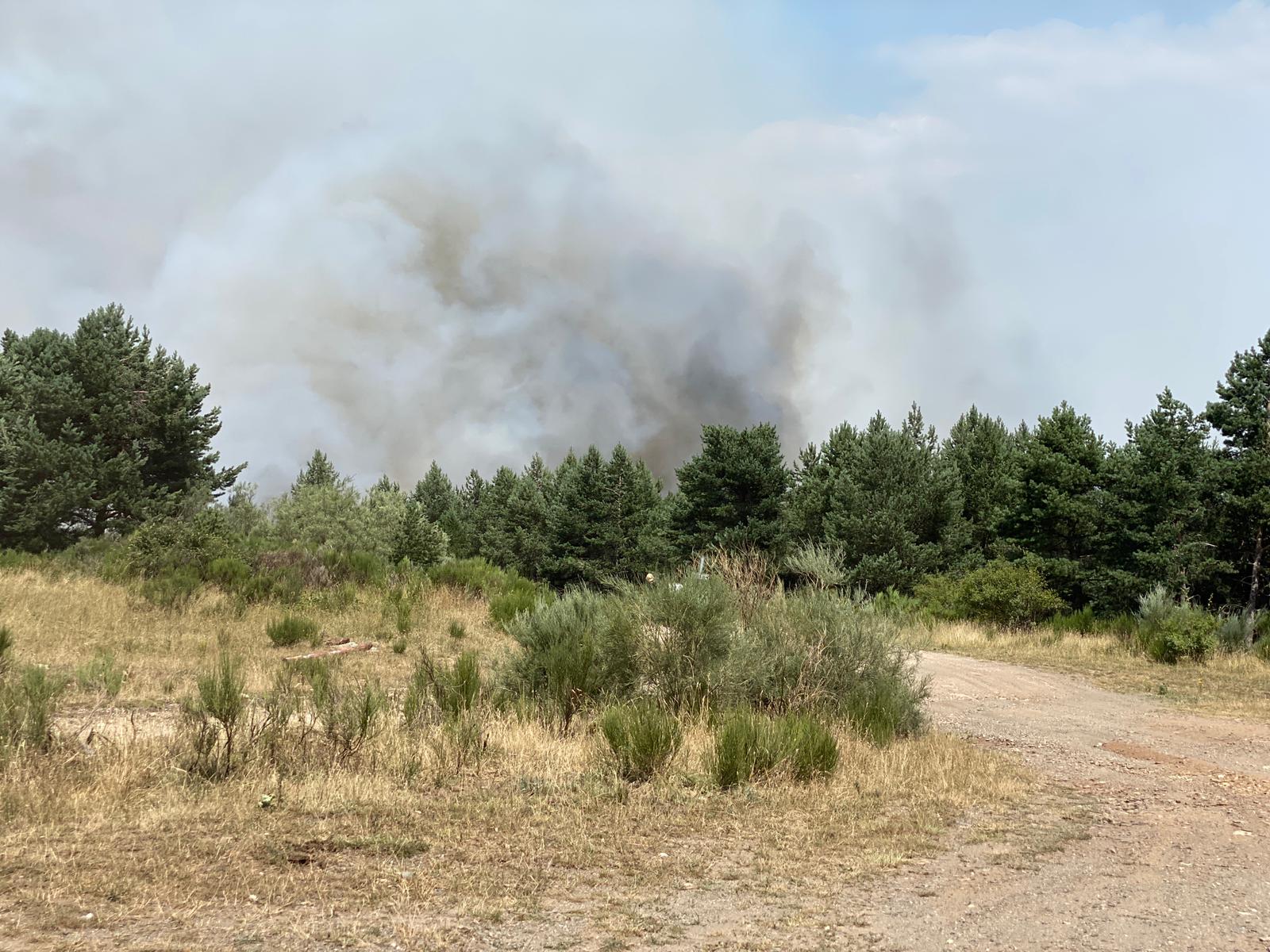 Fotos: Incendio forestal en Montes