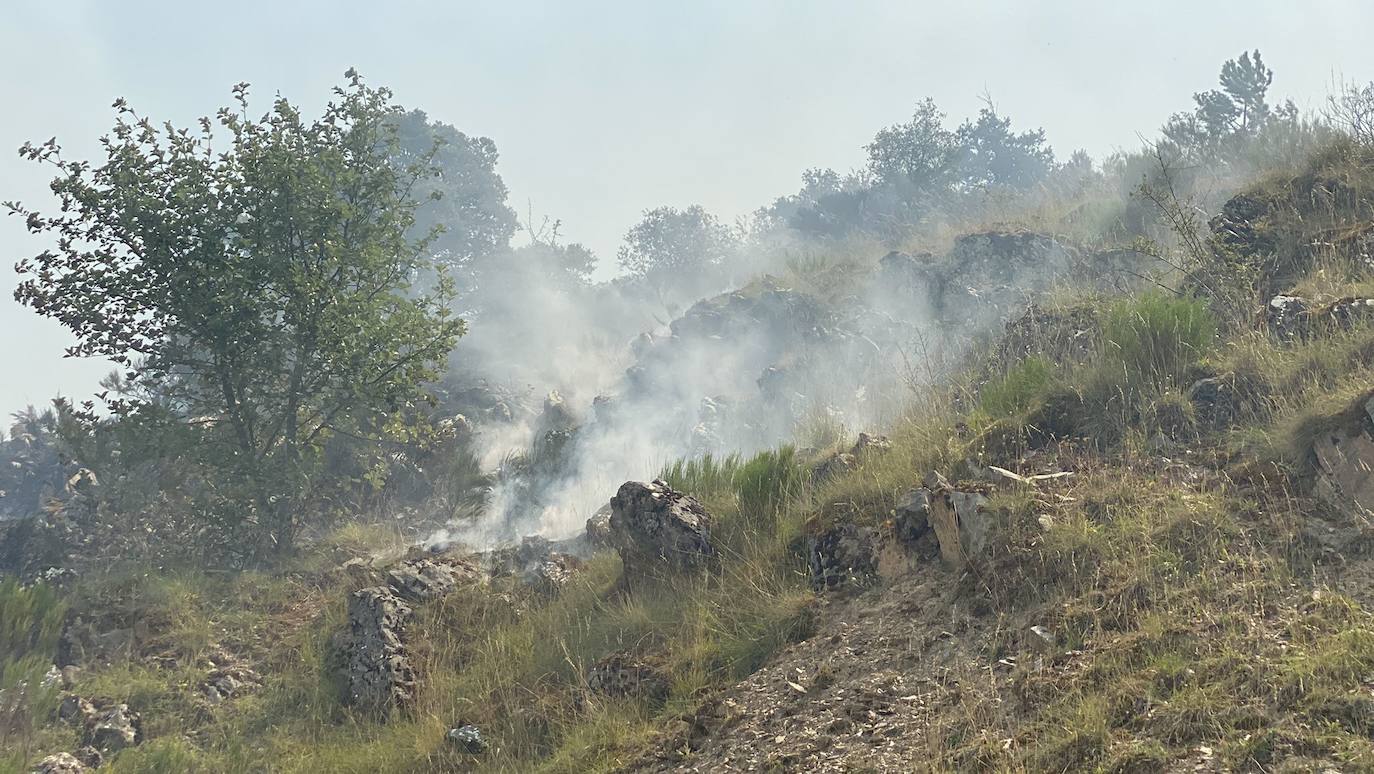 Fotos: Incendio forestal en Montes