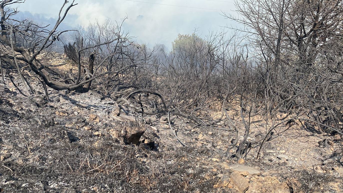 Fotos: Incendio forestal en Montes