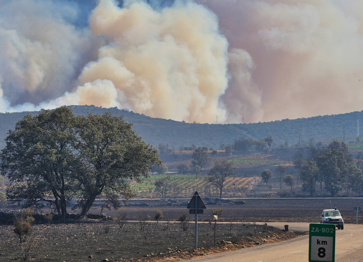 Incendio en la provincia de Zamora