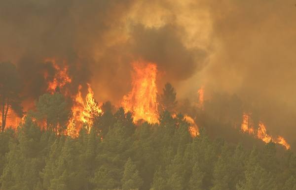 Incendio en el municipio de Puente Domingo Flórez. 