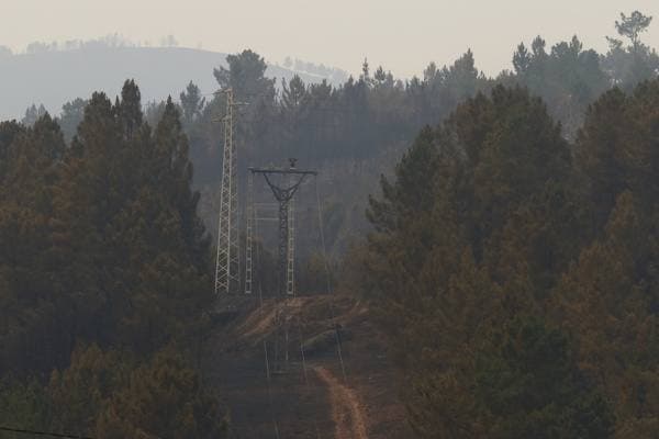 Incendio en el municipio de Puente Domingo Flórez. 