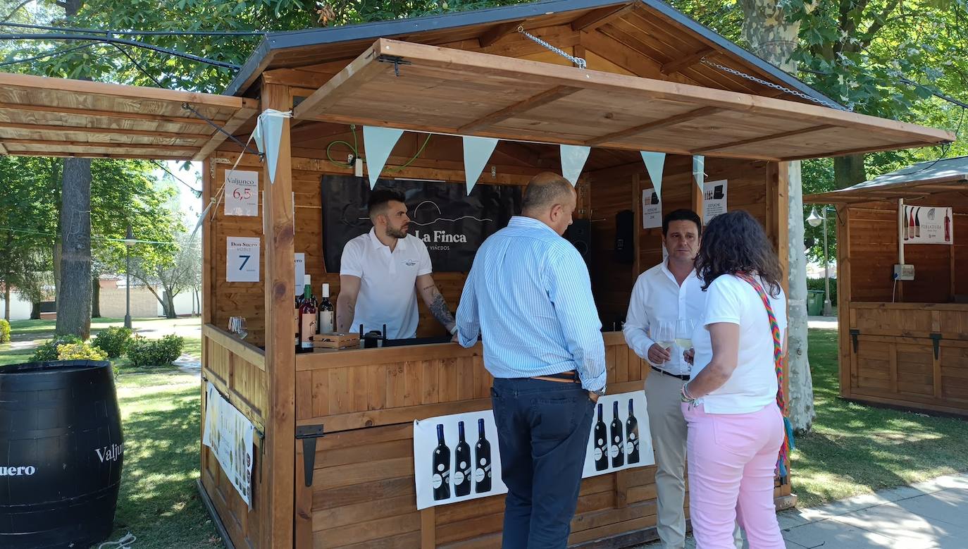 Fotos: El vino riega Valencia de Don Juan