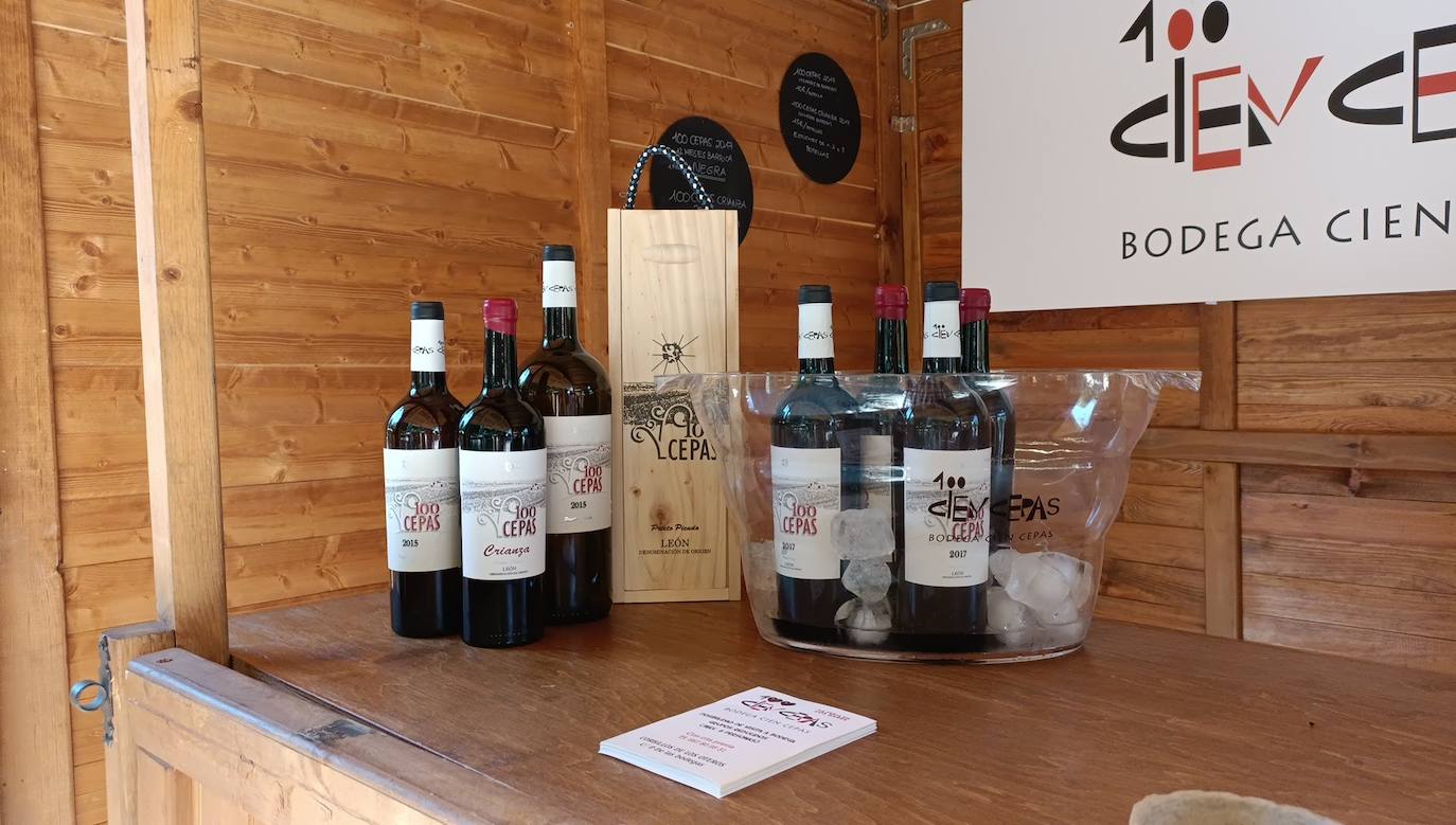 Fotos: El vino riega Valencia de Don Juan