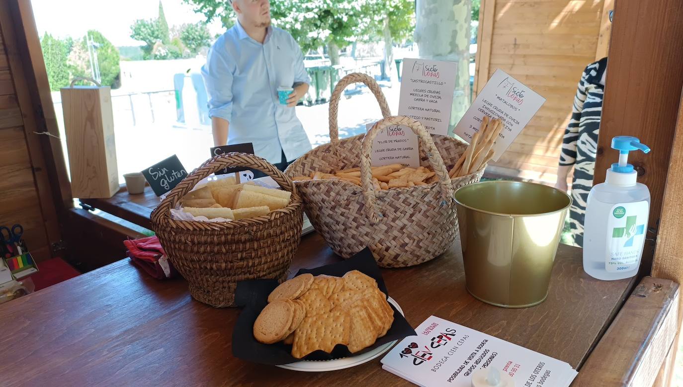 Fotos: El vino riega Valencia de Don Juan