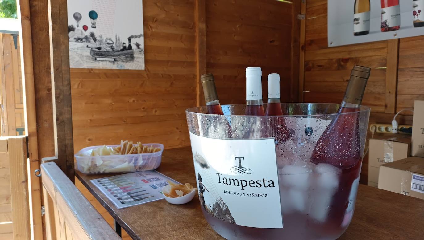 Fotos: El vino riega Valencia de Don Juan