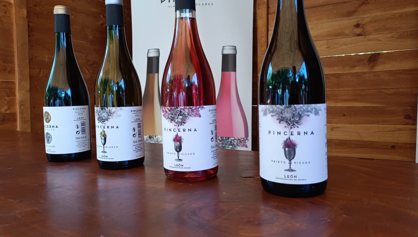 Fotos: El vino riega Valencia de Don Juan