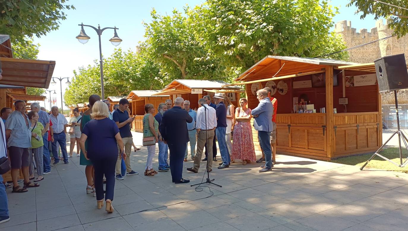 Fotos: El vino riega Valencia de Don Juan