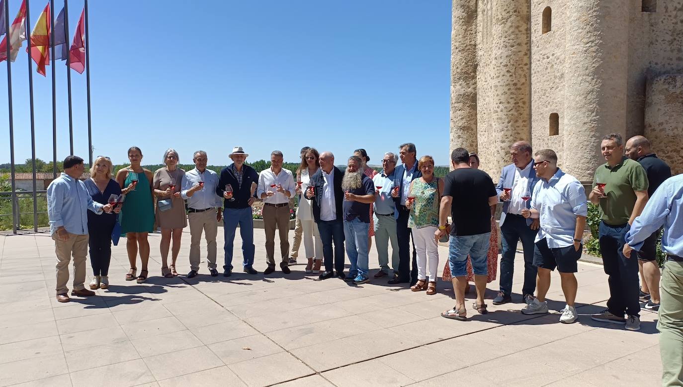 Fotos: El vino riega Valencia de Don Juan