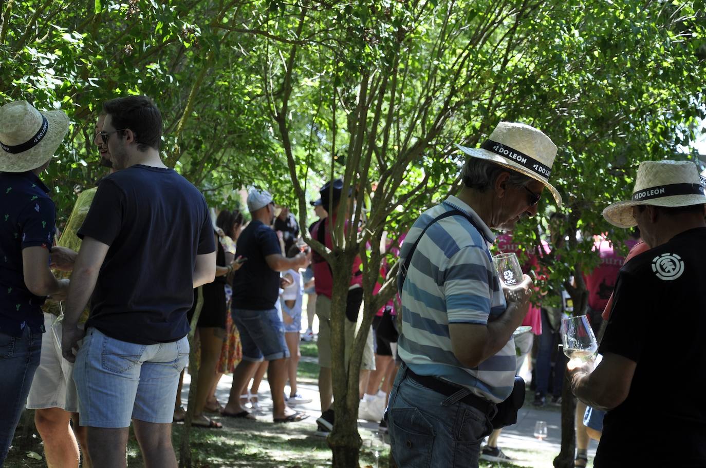 Fotos: Feria del Vino en Coyanza