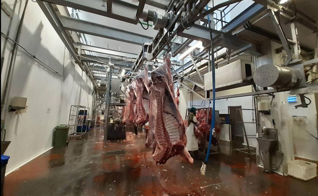 Sala de despiece en un matadero de la provincia de Valladolid. 