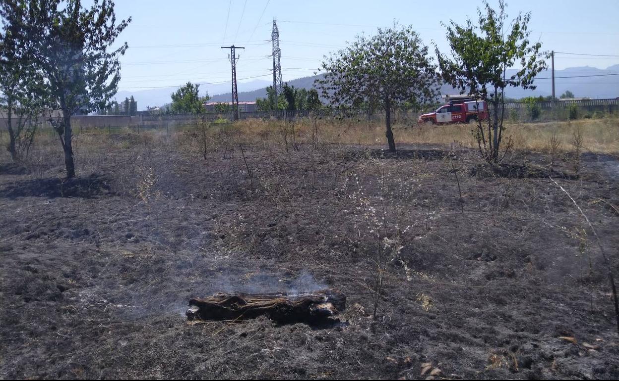 Imágenes de cómo quedó el terreno junto a la torreta de electricidad; en el suelo, el ejemplar de cuervo calcinado.