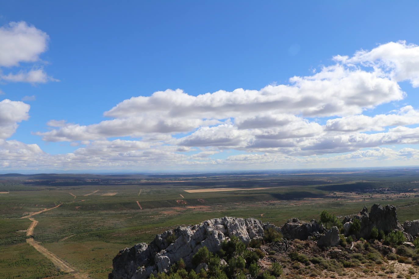 Imagen del monte quemado, diez años después