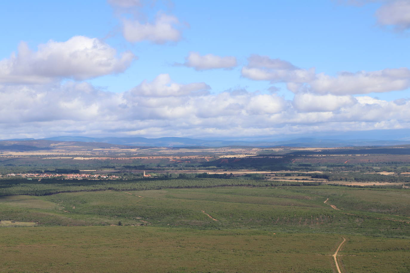 Imagen del monte quemado, diez años después