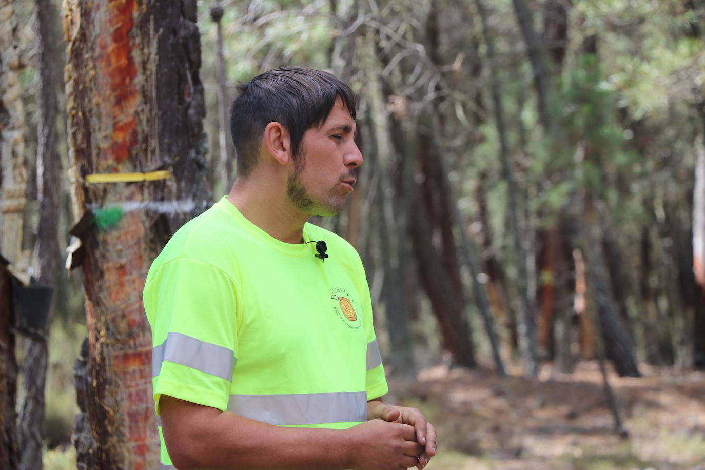 Alejandro García es uno de los resineros que han decidido asentarse en la sierra del Teleno. 