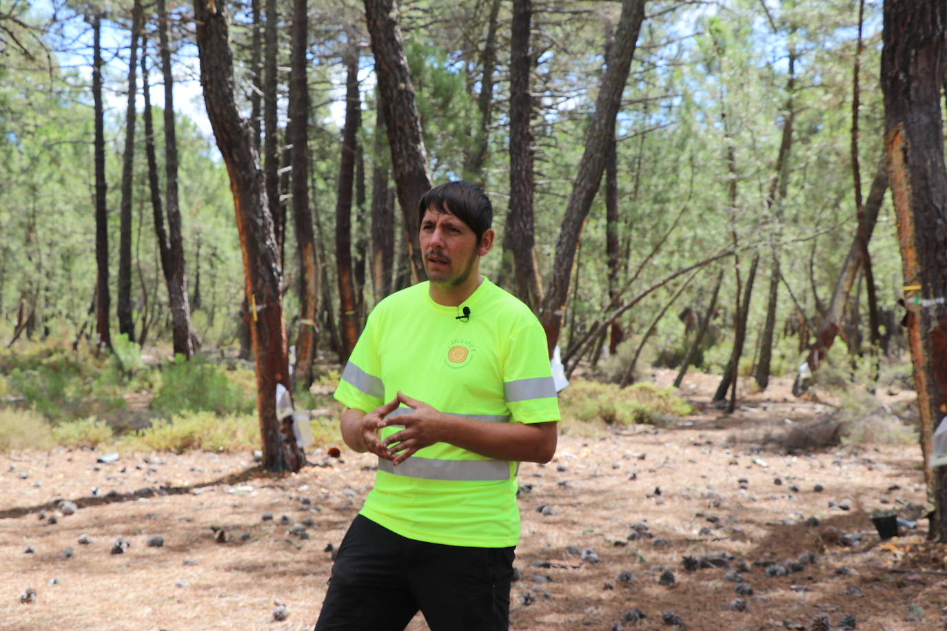 Alejandro García es uno de los resineros que han decidido asentarse en la sierra del Teleno. 