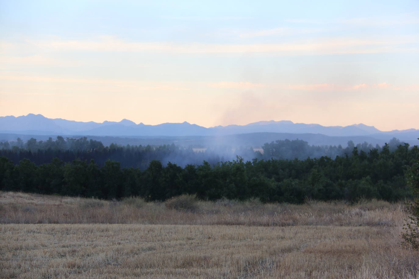 Imágenes de los efectivos antiincendios en el fuego de Valdepolo.