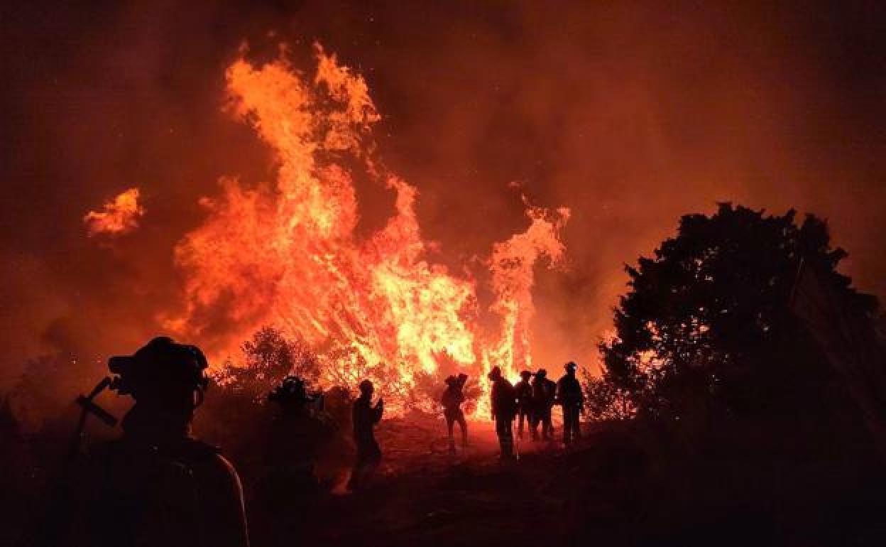 Bomberos tratan de sofocar un incendio forestal en al provincia de León.
