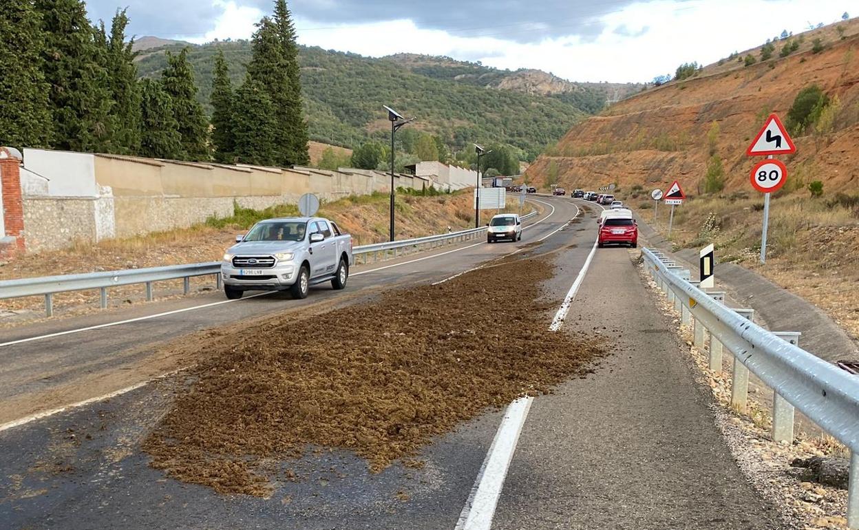 Imagen del vertido de estiércol en la CL-626 en la localidad de Cistierna. 