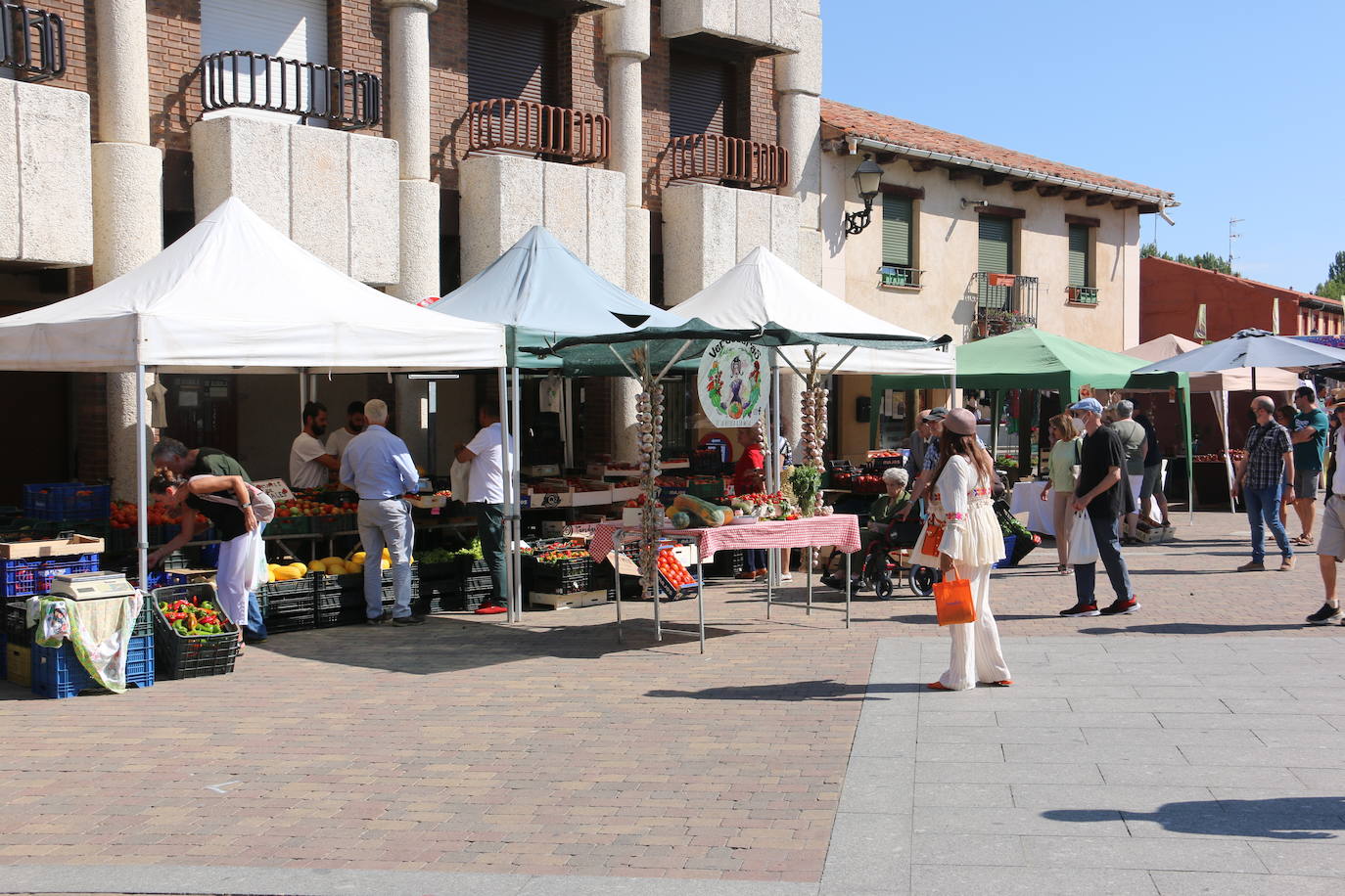 Imágenes de la Feria del Tomate de Mansilla en 2022