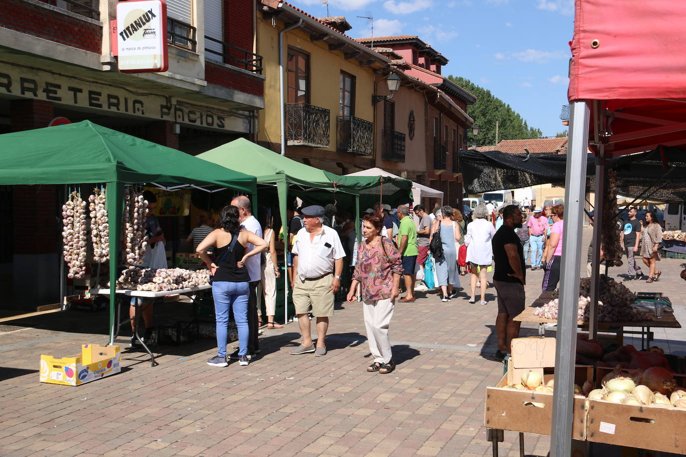 Imágenes de la Feria del Tomate de Mansilla en 2022