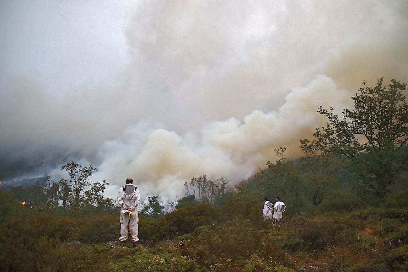 El incendio del Teleno amenaza las localidades de Boisán y Filiel. Los trabajos se centran en contener el avance de las llamas más allá del perímetro del campo de tiro. 