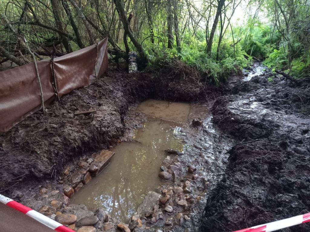 Una fuente del siglo XVII podría salvar la zona verde de La Milla del Páramo.