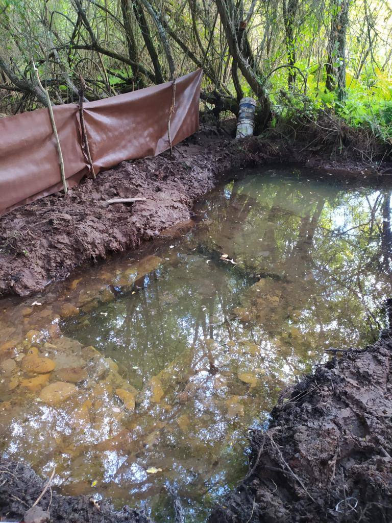 Una fuente del siglo XVII podría salvar la zona verde de La Milla del Páramo.