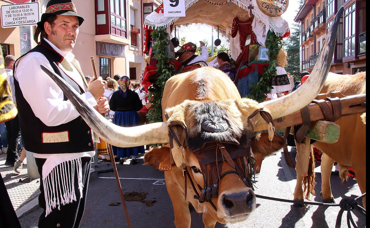 Pendones, carros engalanados y la ceremonia de las Cantaderas se citan este domingo en León para celebrar San Froilán.