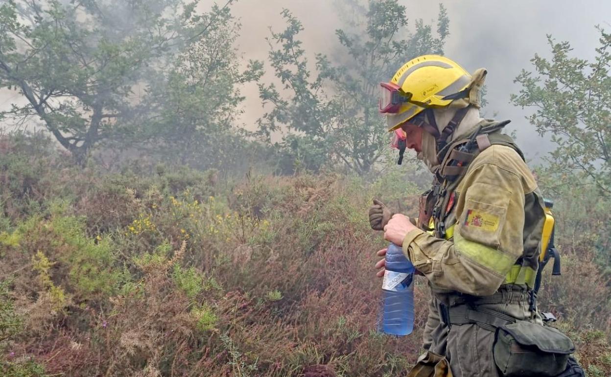 Un brigadista, durante una intervención en un incendio. 