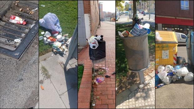 Varias imágenes de la suciedad en León tomadas por el grupo municipal de Ciudadanos.