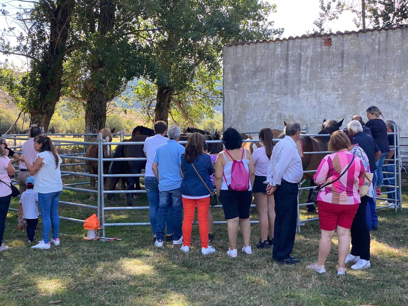 La localidad leonesa celebra las Fiestas del Cristo donde la feria ganadera, la artesanía y los pendones toman el protagonismo