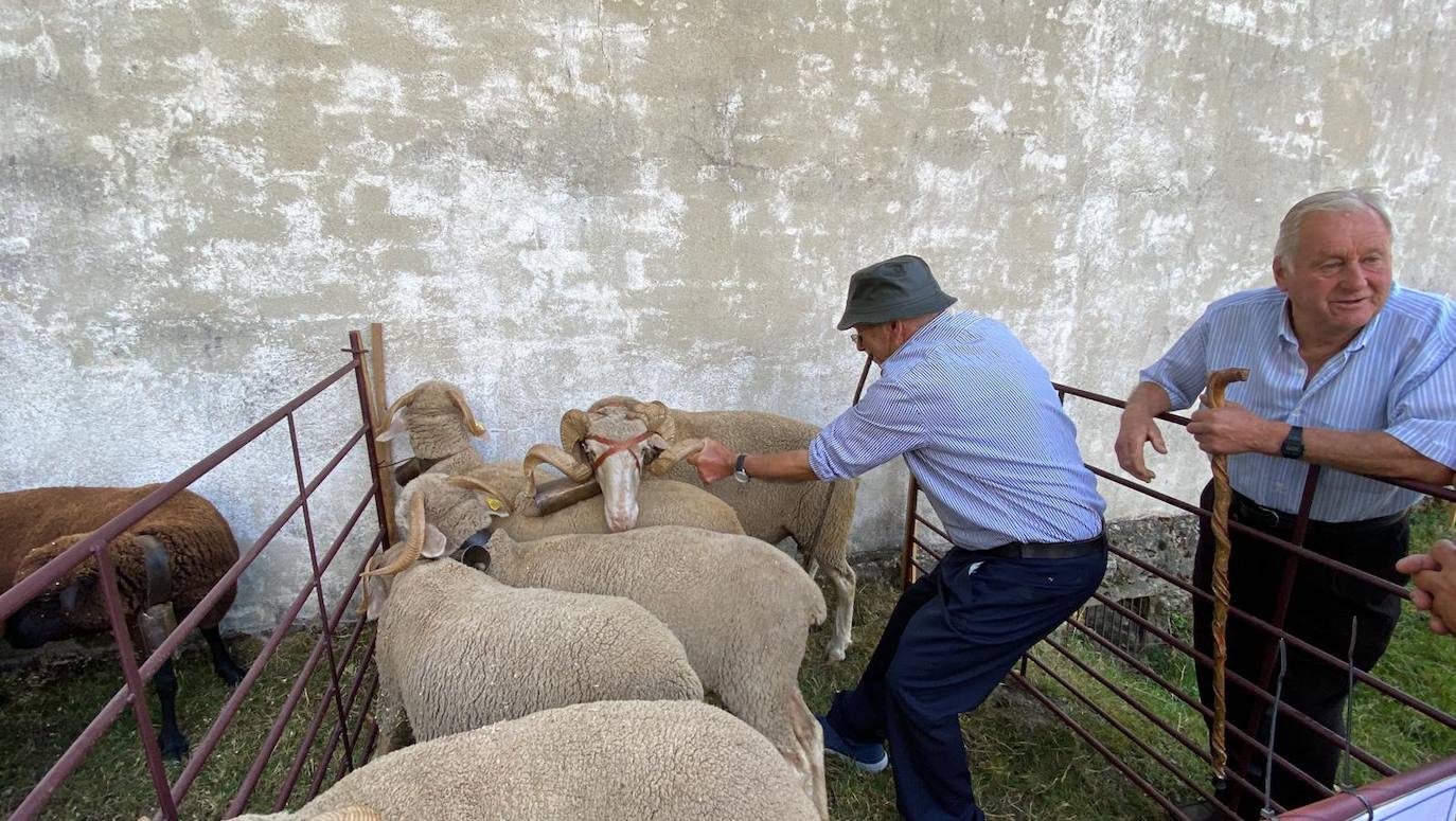 La localidad leonesa celebra las Fiestas del Cristo donde la feria ganadera, la artesanía y los pendones toman el protagonismo