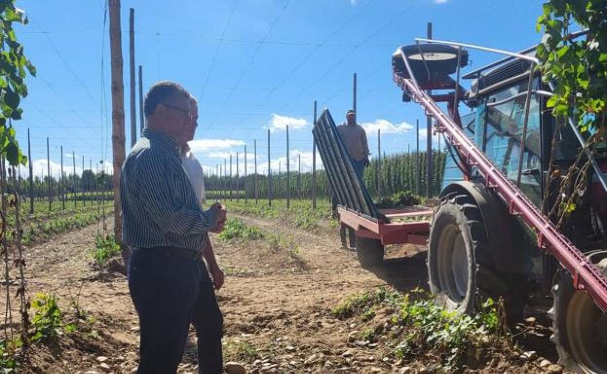 El consejero de Agricultura, Ganadería y Desarrollo Rural, Gerardo Dueñas, en su visita a una explotación de lúpulo en Gavilanes la semana pasada.