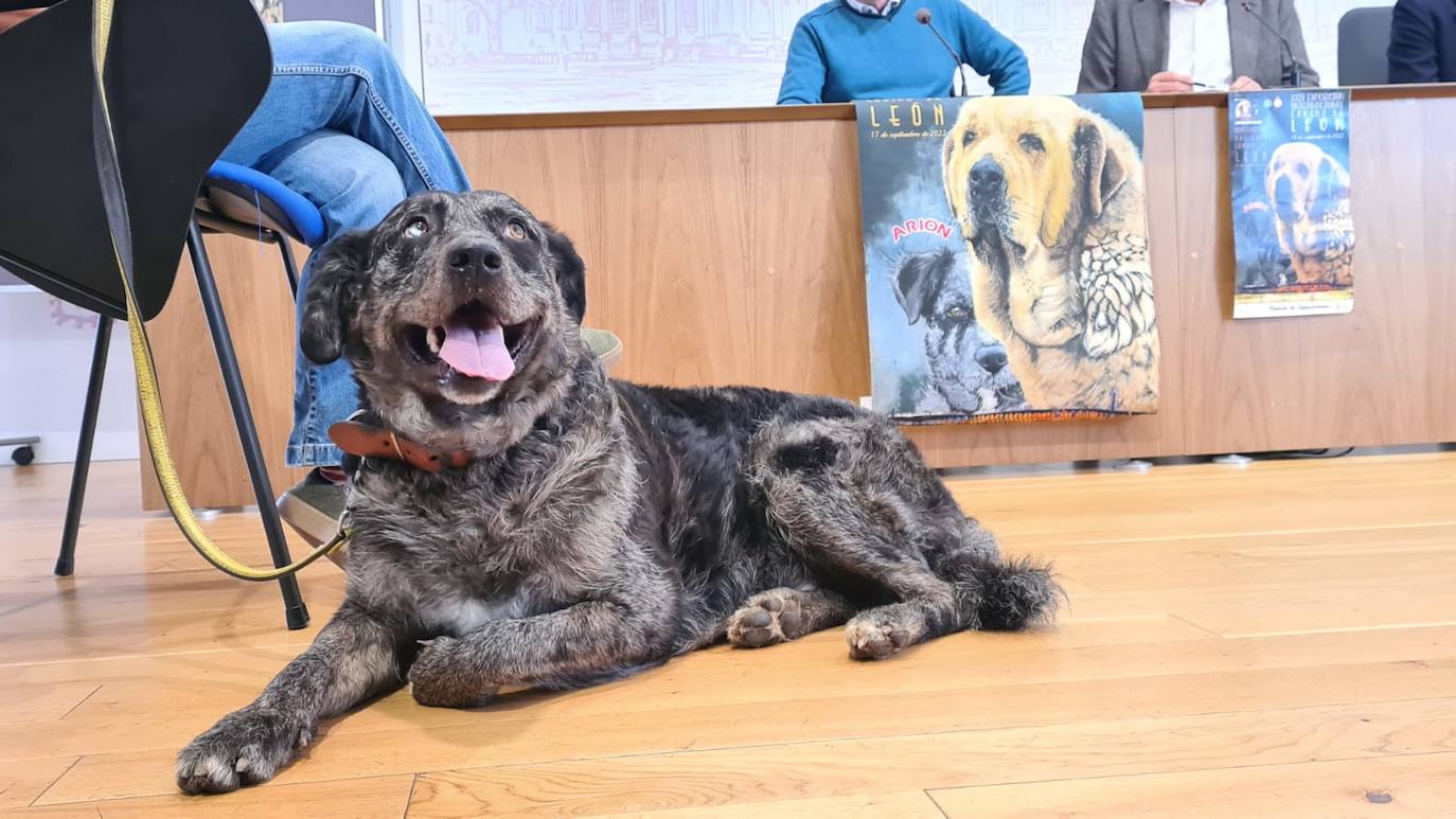 Fotos: Presentación de la Exposición Canina en León