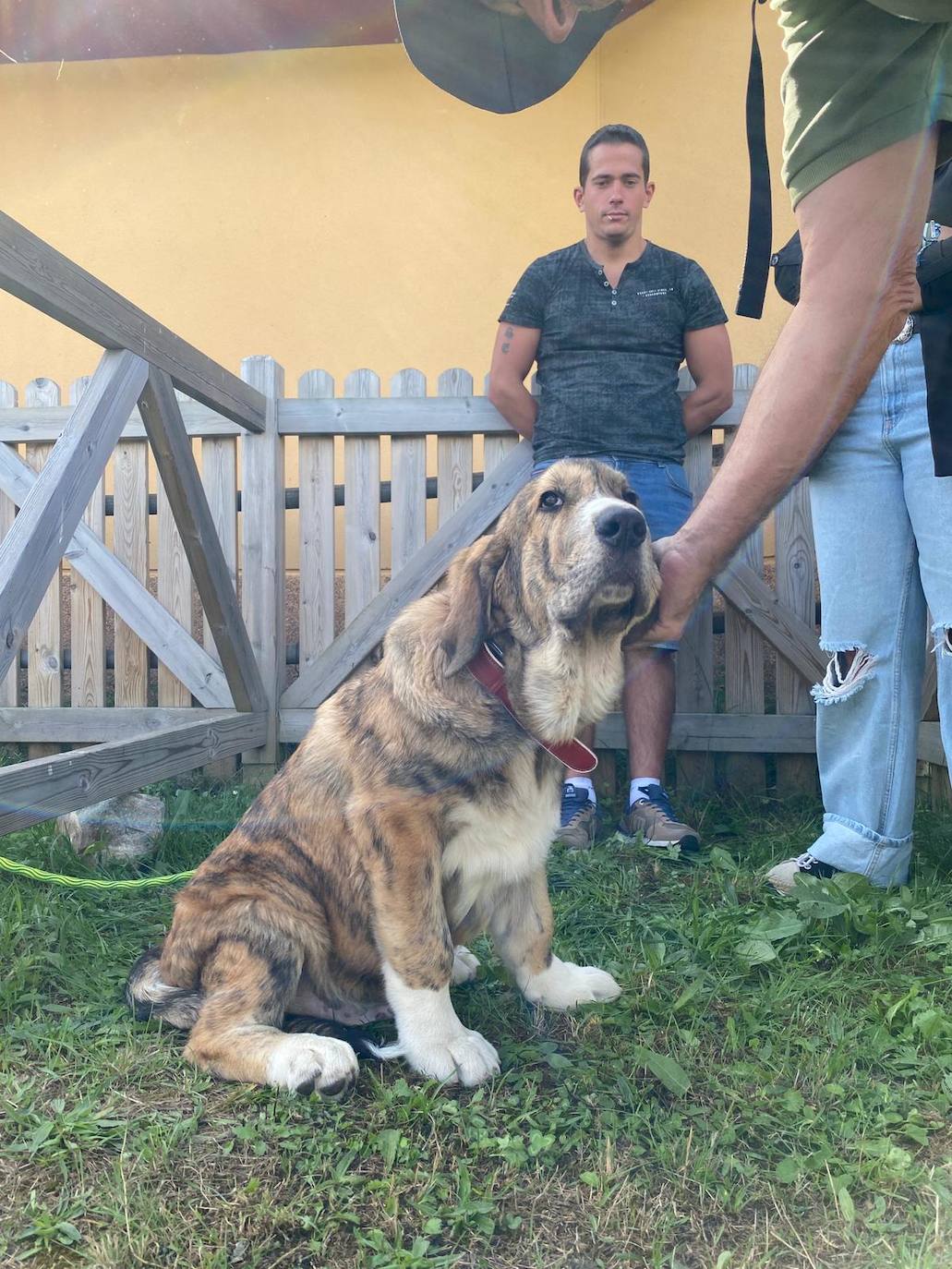 Feria de Ganado de Montaña en Puebla de Lillo