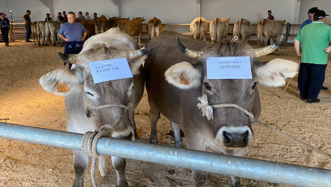 Feria de Ganado de Montaña en Puebla de Lillo