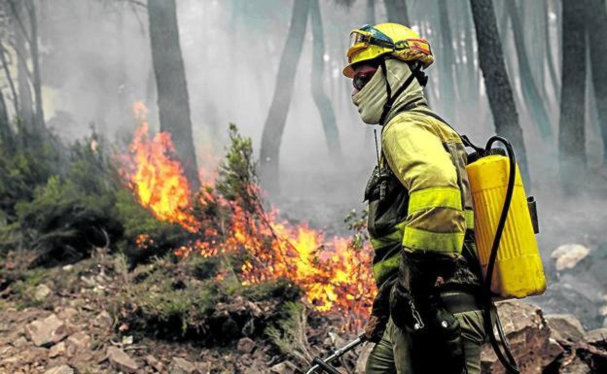 El incendio en Serrilla fue declarado minutos después de las 18:00 horas de este lunes.