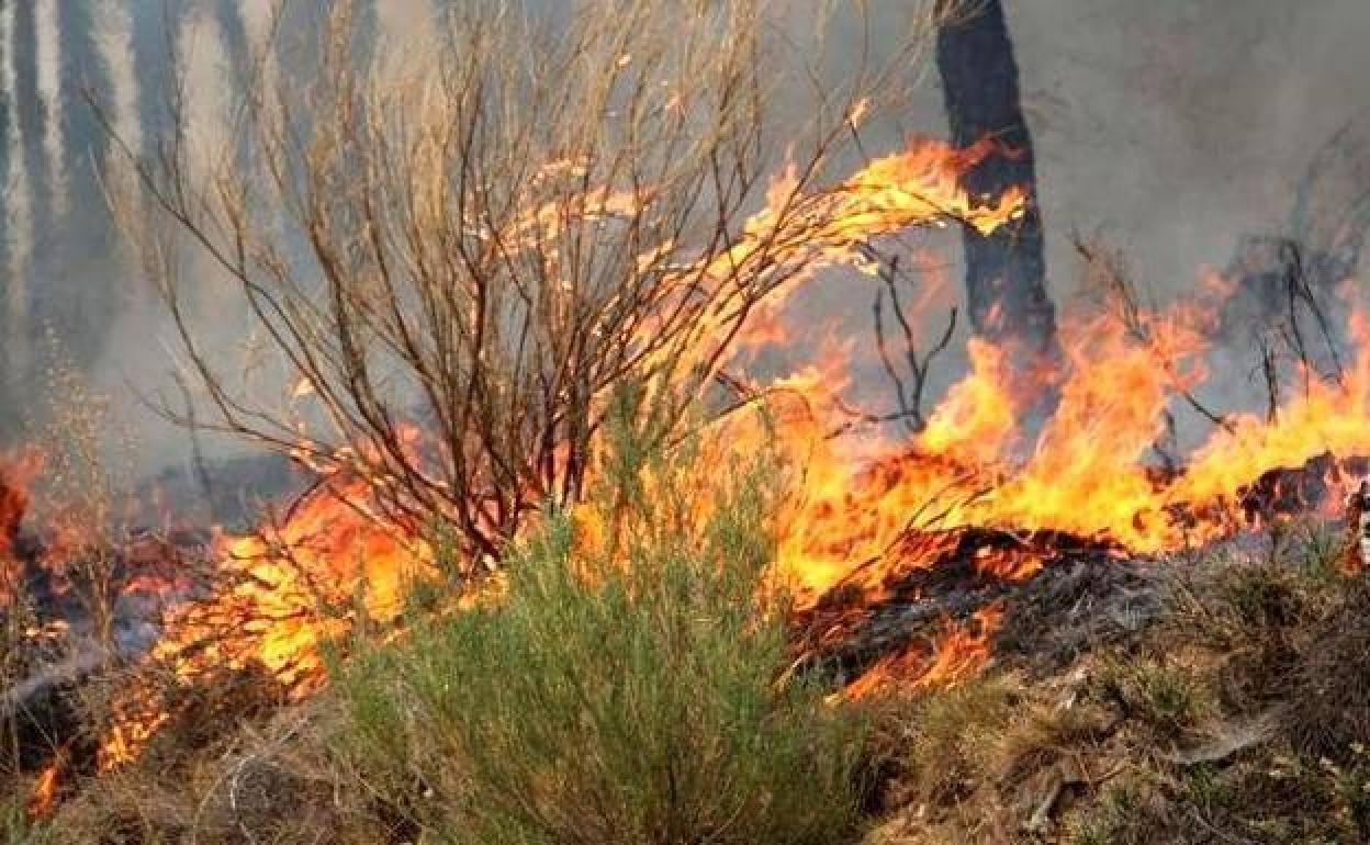 Una escoba incendiada en una imagen de archivo.