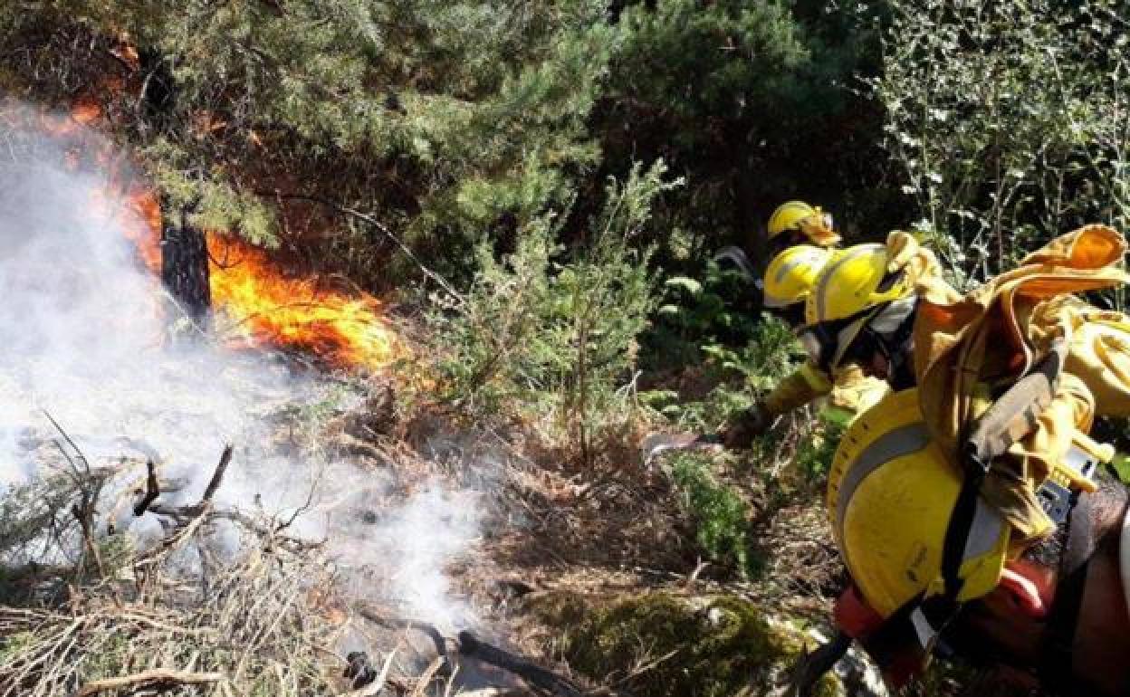 Las brigadas luchan contra el incendio en el limite territorial entre León y Asturias.