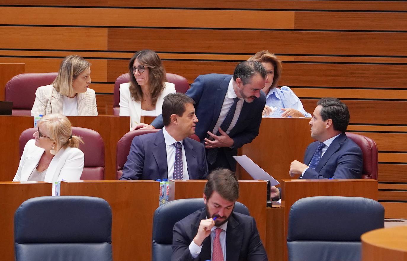 Pleno de las Cortes de Castilla y León