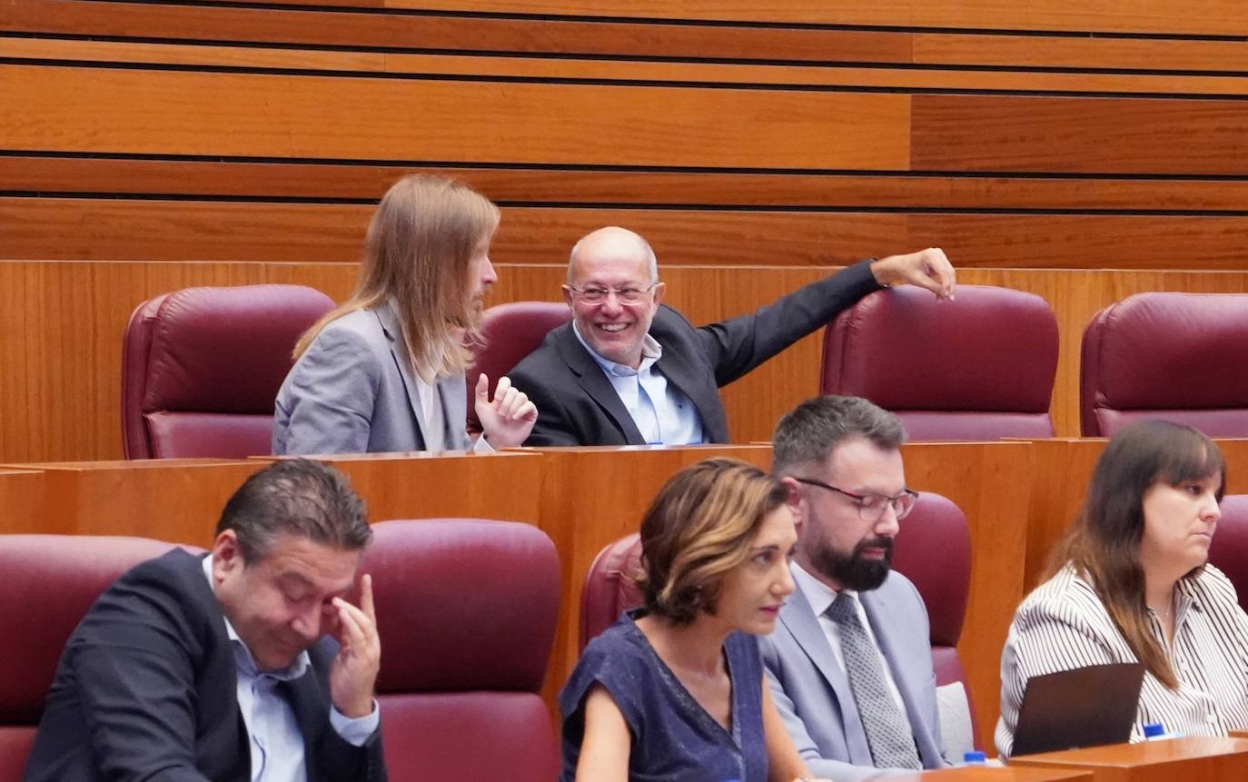 Pleno de las Cortes de Castilla y León