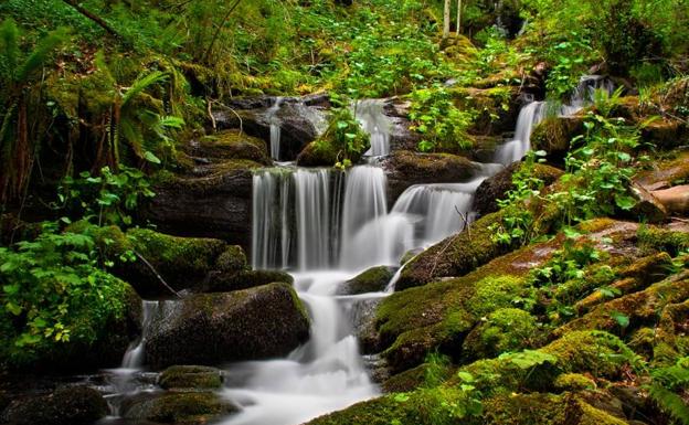 Pequeña cascada situada en el Hayedo de Busmayor, León