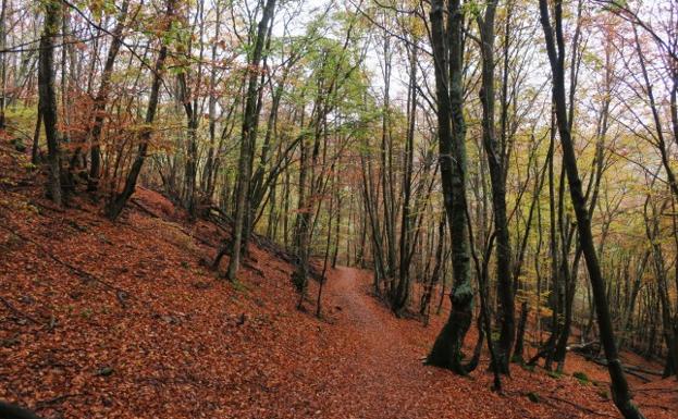 Paisaje del Faedo de Orzonaga en otoño