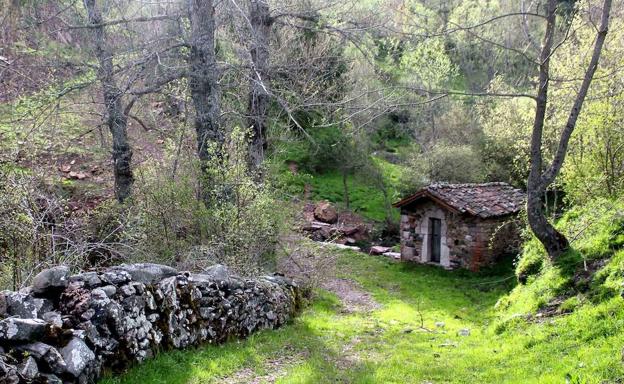 Redilluera, León