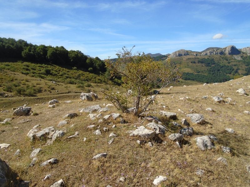 Un profesor de Irún, aficionado a los megalitos, descubre 13 manifestaciones megalíticas inéditas en las montaña de Maraña y Liegos. Se trataría de formaciones del primer milenio antes de Cristo. «Habría que excavar en la zona para conocer al detalle su riqueza», asegura. 