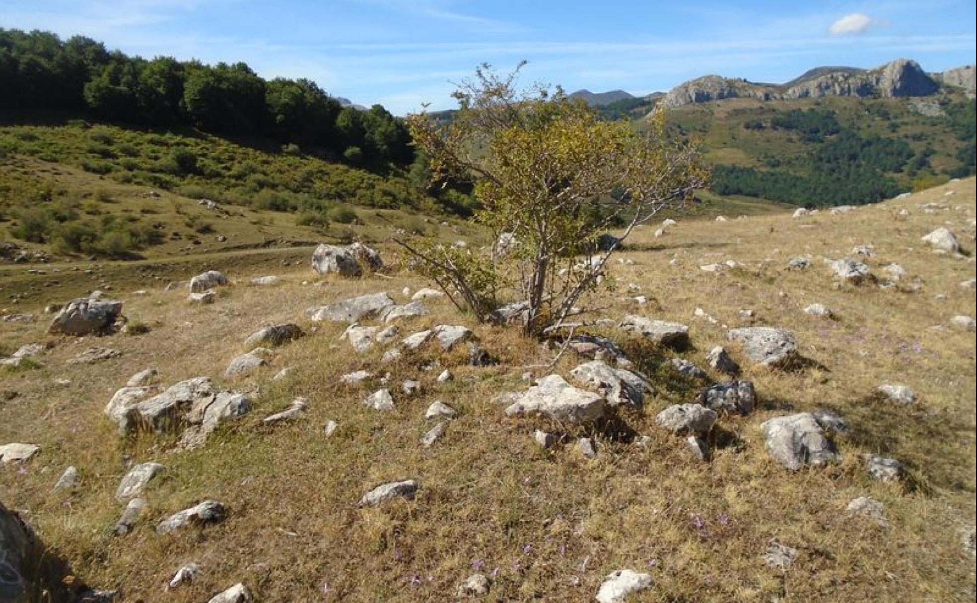 Imagen de una de las manifestaciones megalíticas localizadas por Alfonso Martínez en la montaña leonesa. 